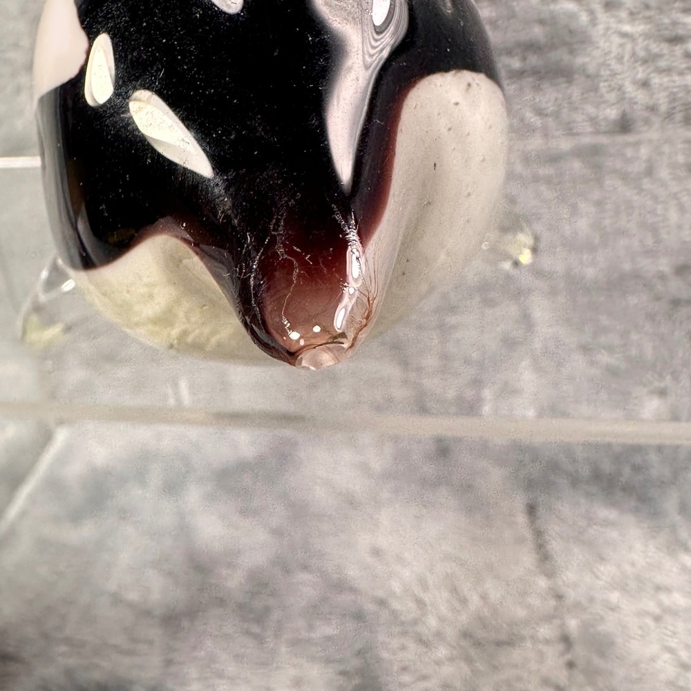 SeaWorld Home‎ Collection Glass Orca Figurine Shamu Art Glass Etched w Card - Picture 15 of 16